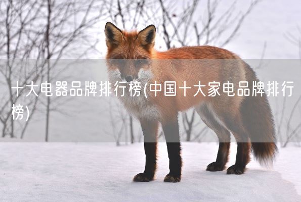 十大电器品牌排行榜(中国十大家电品牌排行榜)(图1)