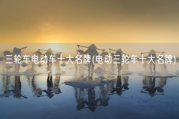 三轮车电动车十大名牌(电动三轮车十大名牌)(图1)