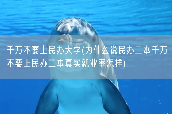 千万不要上民办大学(为什么说民办二本千万不要上民办二本真实就业率怎样)(图1) 千万不要上民办大学(为什么说民办二本千万不要上民办二本真实就业率怎样)(图1)
