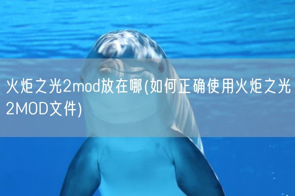 火炬之光2mod放在哪(如何正确使用火炬之光2MOD文件)(图1) 火炬之光2mod放在哪(如何正确使用火炬之光2MOD文件)(图1)