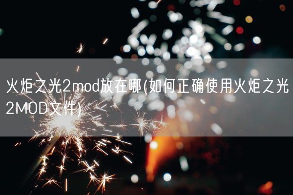 火炬之光2mod放在哪(如何正确使用火炬