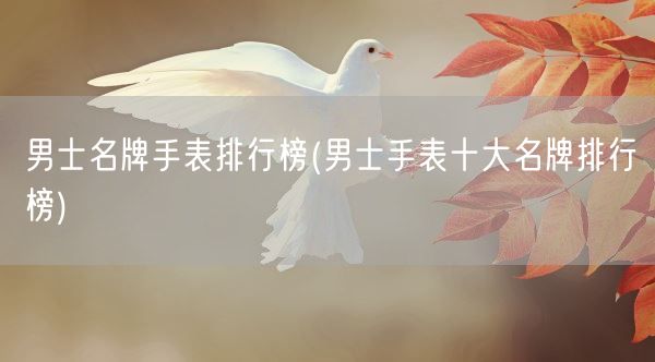 男士名牌手表排行榜(男士手表十大名牌排行