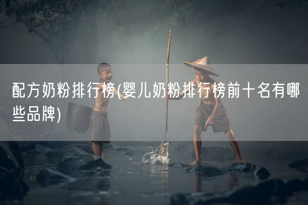 配方奶粉排行榜(婴儿奶粉排行榜前十名有哪些品牌)